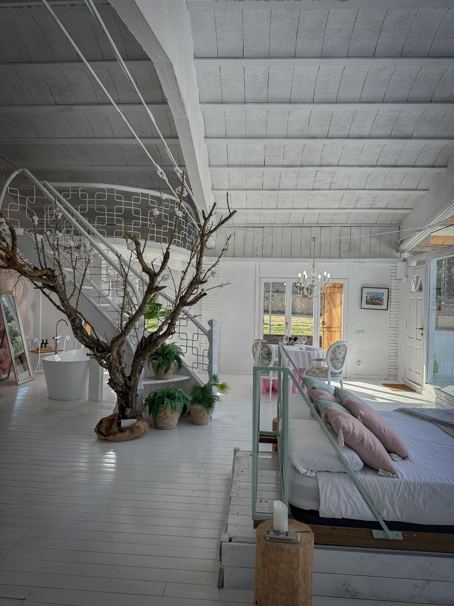 קאנייס Suite Con Jacuzzi מראה חיצוני תמונה